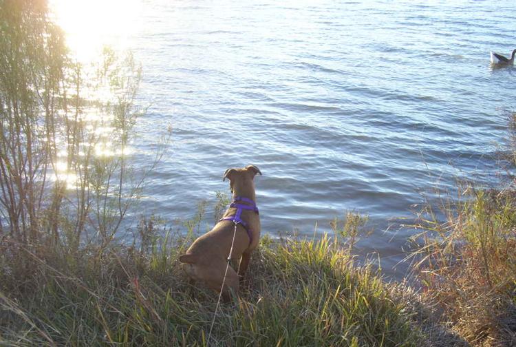 Duck Hunting!!!