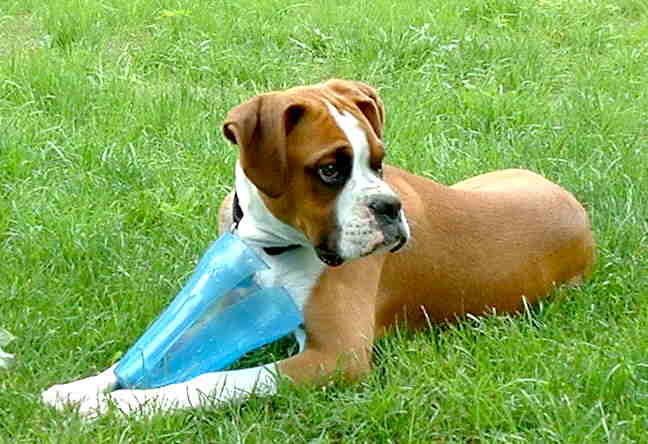 Duditz at 5 months old