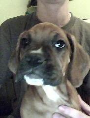Dudley