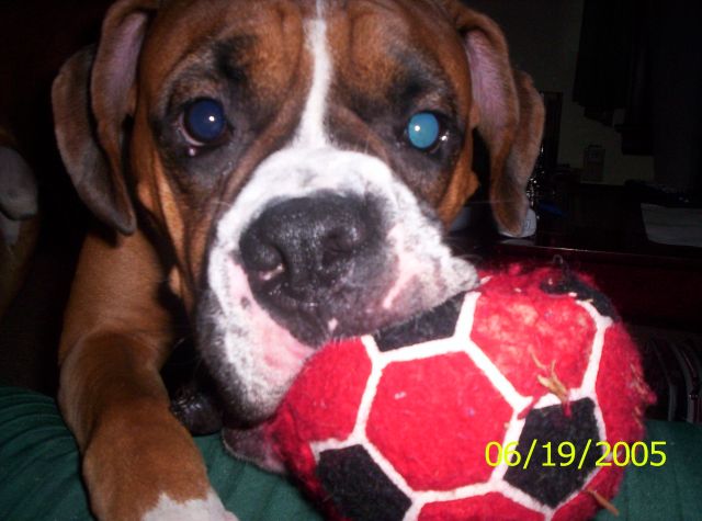 Duece