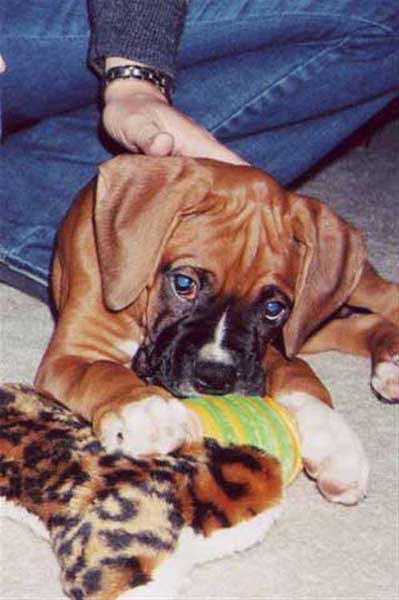 Dugan