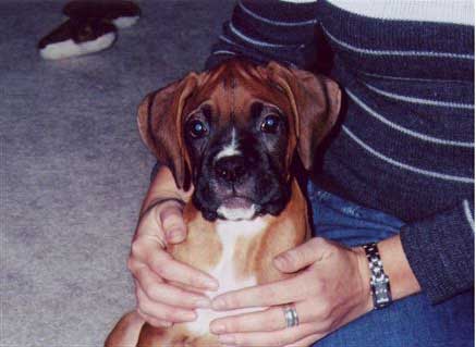 Dugan
