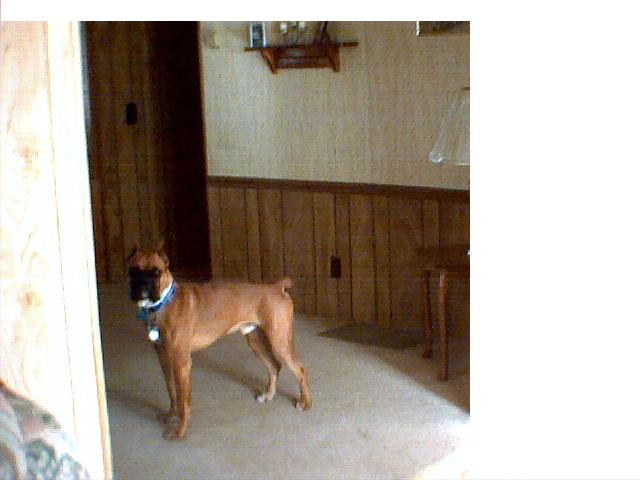 Duke 9.5months