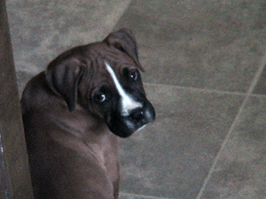 Duke @ 9 weeks