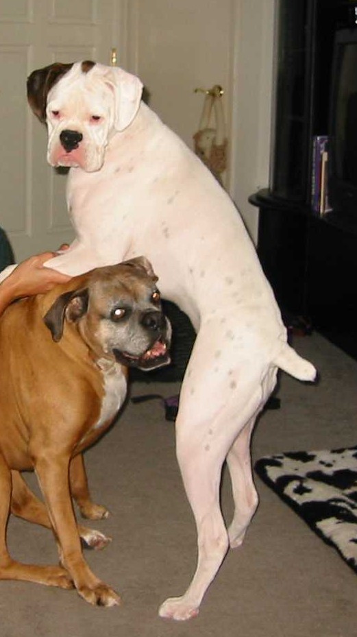 Duke and Ellie
