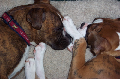 Duke and Mack