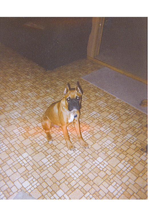 Duke getting a little bigger.