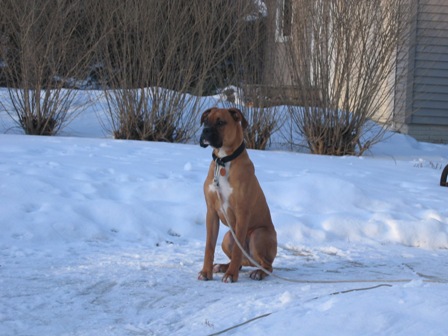 Duke just 'chillin'