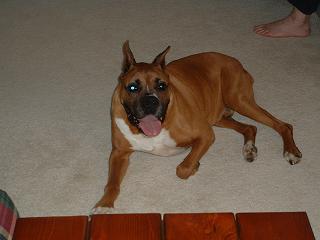 Duke
