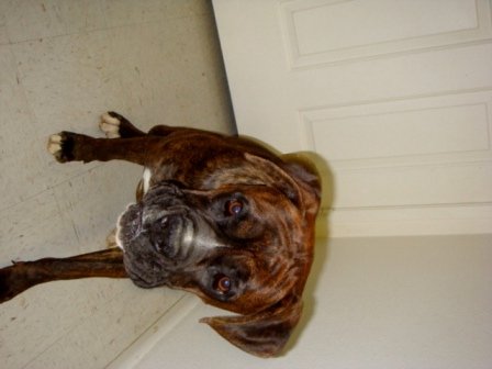 Duke12/30/08(3)