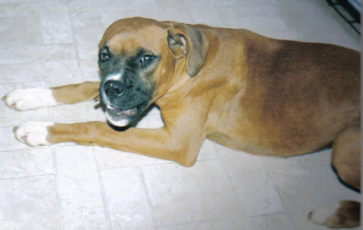 duke_6_months