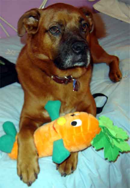 dukeandcarrot1