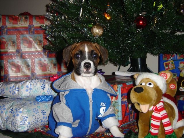 Duncan's 1st Christmas 12-04