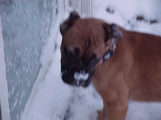Dutchess Let Me In IM Cold.