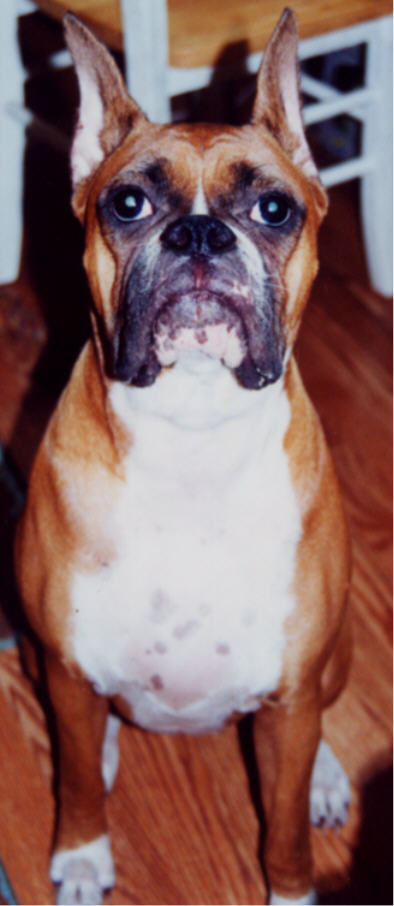 Dylan 1 year old
