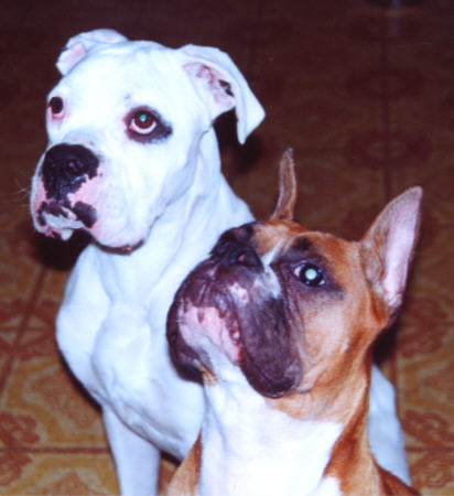 Dylan and Zander