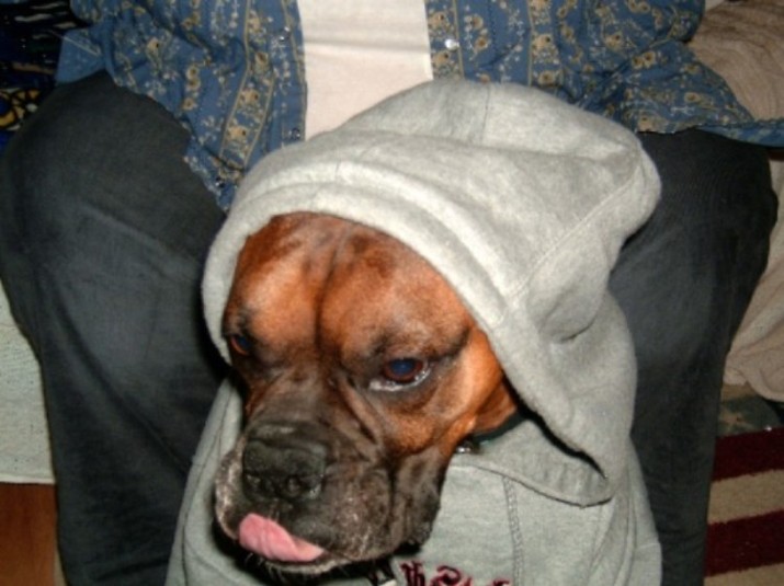 E.T. phone home!!!