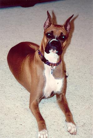 E_1