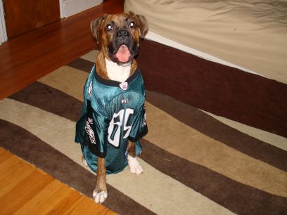 Eagles