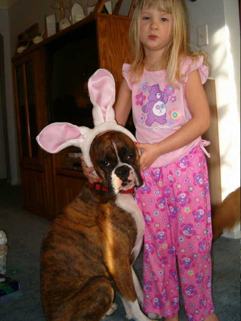 Easter Boxer 2!!