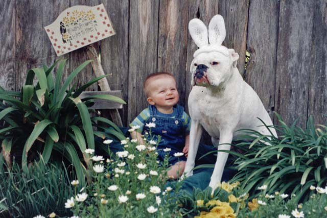 Easter Boxer