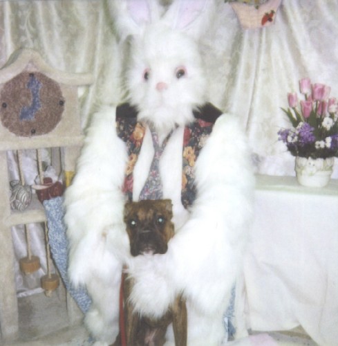 Easter Bunny & Kaybie