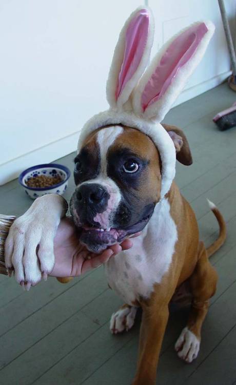 easter_2006_ver