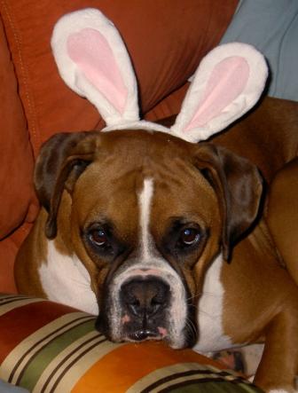 Easter_2007Compressed