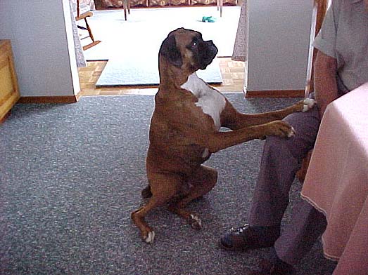 Easy sit.