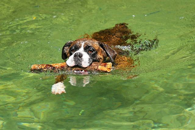 Easy