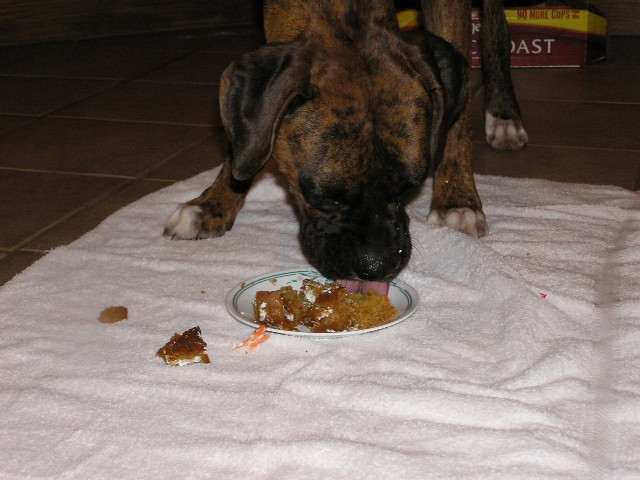 Eating Cake
