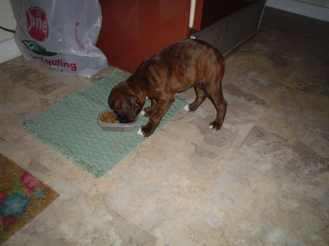 eating
