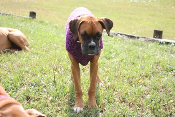 Ebby 6 Months