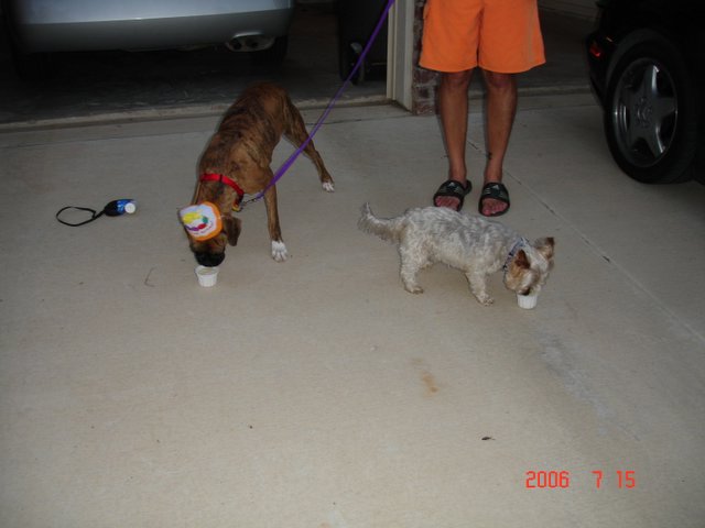 Eddie & Ginny