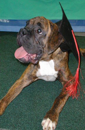 Eddie_-_031804