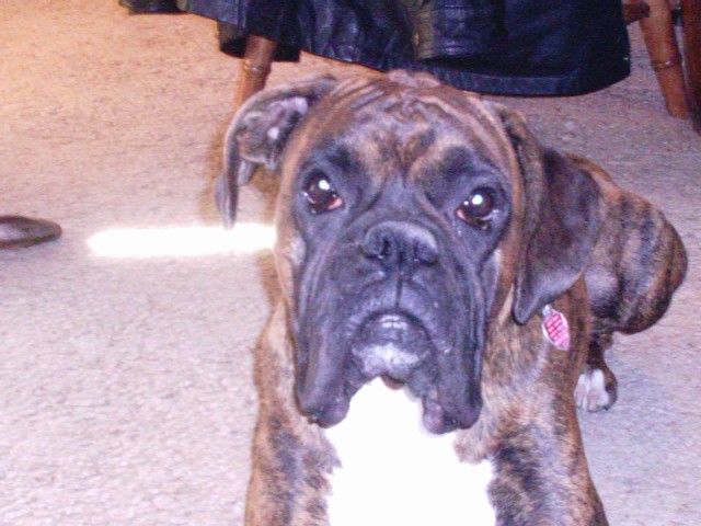 Eddiecloseup2