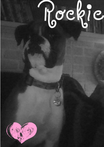edited picture of my Bugg