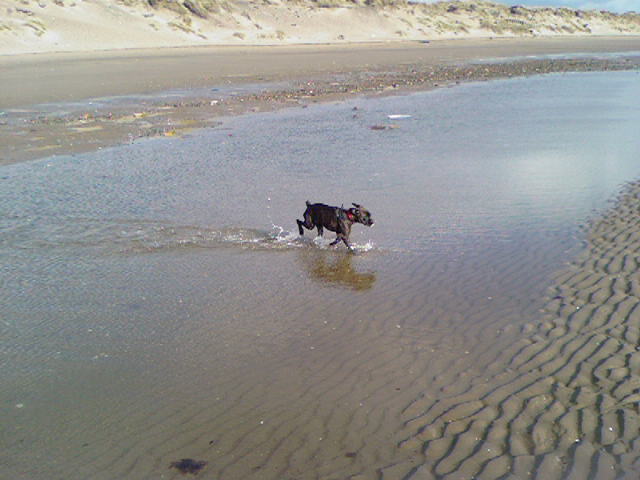 Eek! this waters cold!!!