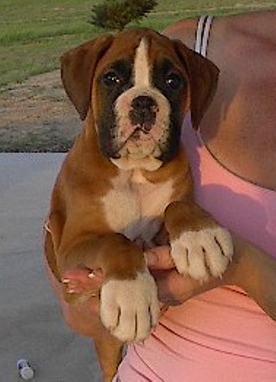 eight weeks old