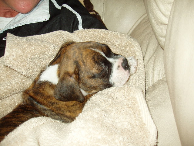 Eight weeks
