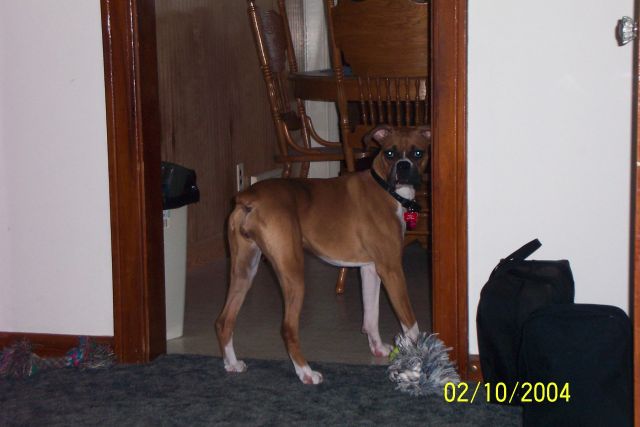 eightmonths1