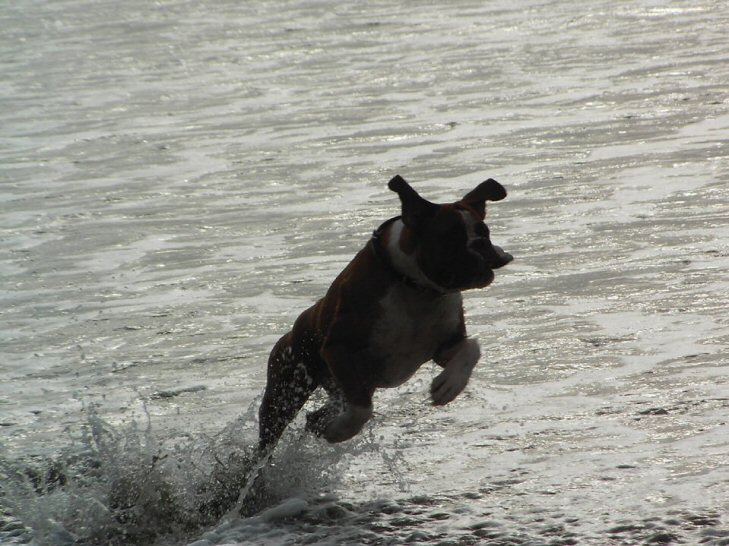 Eliot (10 months old) on holiday in Cornwall