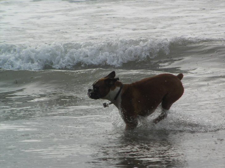 Eliot (10 months old) on holiday in Cornwall