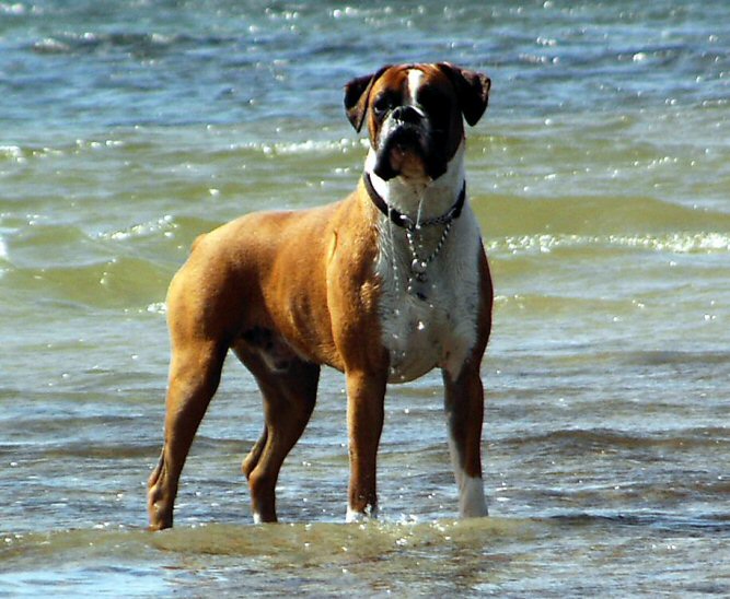 Eliot (10 months old) on holiday in Cornwall