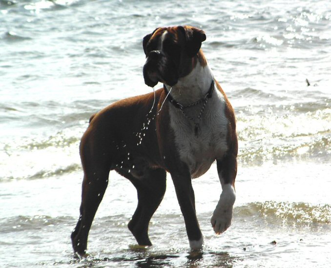 Eliot (10 months old) on holiday in Cornwall