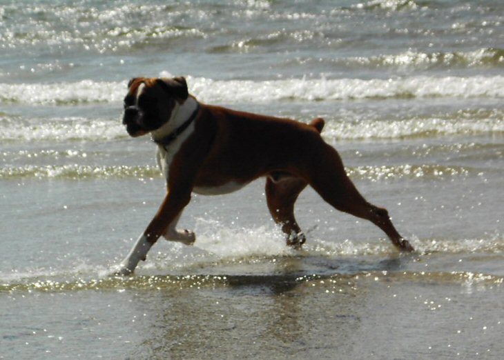 Eliot (10 months old) on holiday in Cornwall