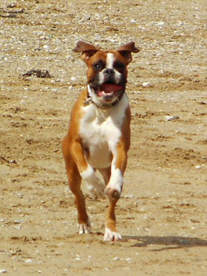 Eliot (10 months old) on holiday in Cornwall