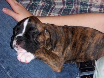 Ella Asleep