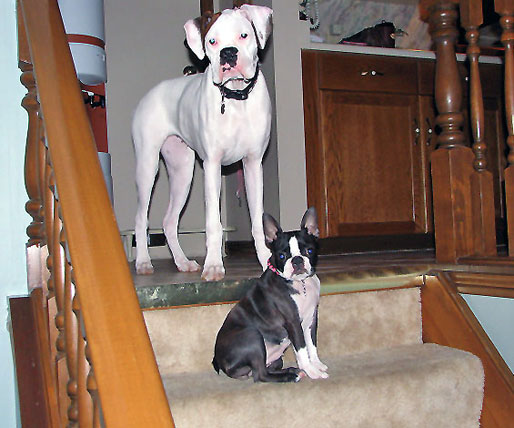 Ellie and Ava