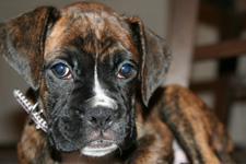 Ellie First Photo